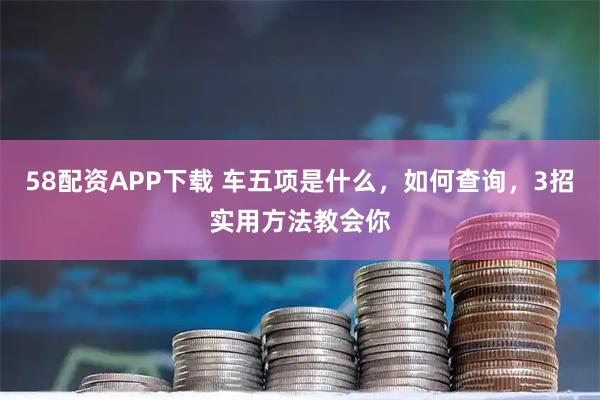 58配资APP下载 车五项是什么，如何查询，3招实用方法教会你